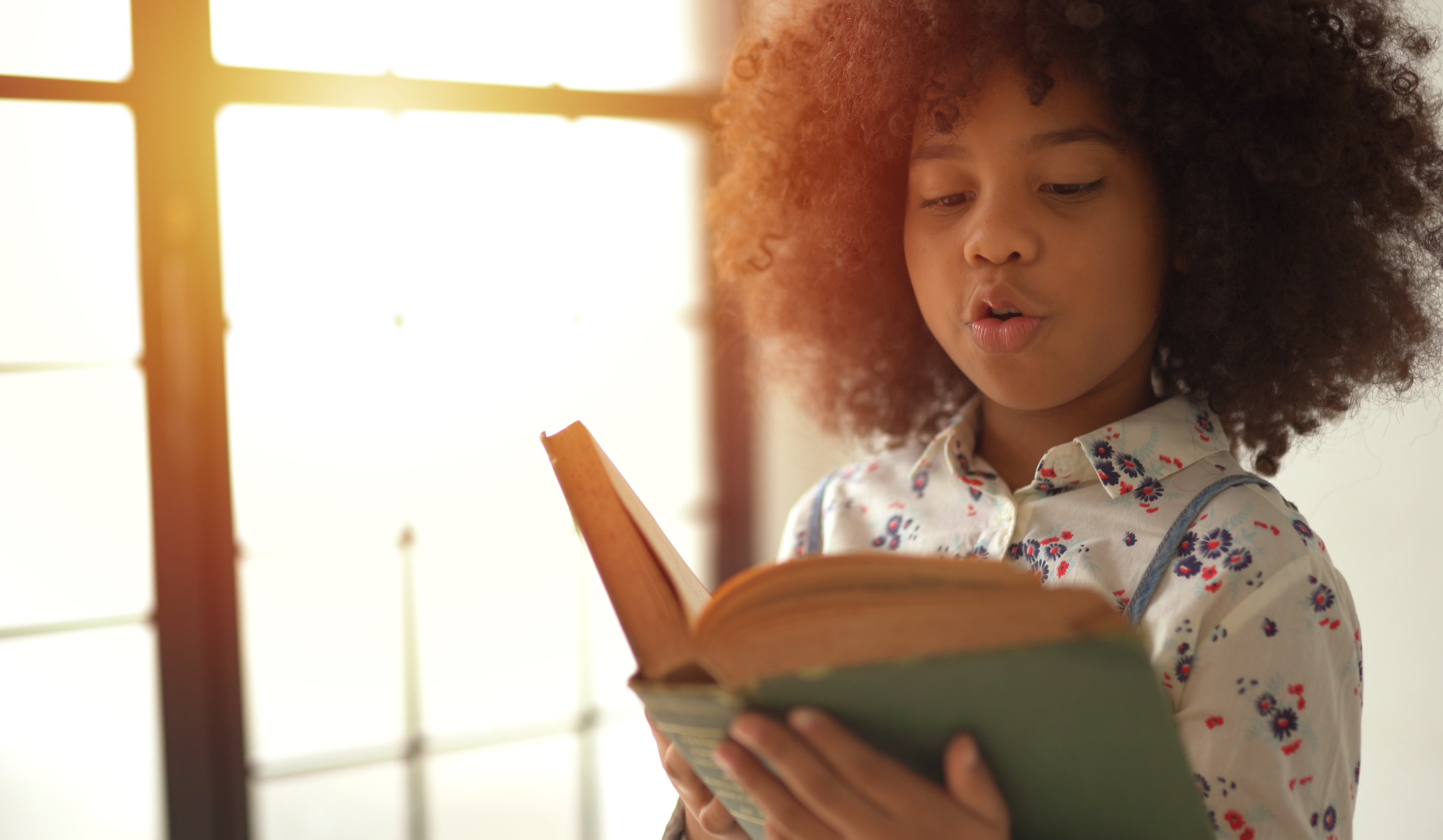 Building a Love of Reading Takes a Schoolwide Effort