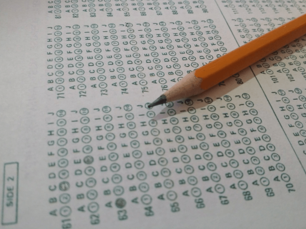 State Test Score Results Need to Be Announced Sooner